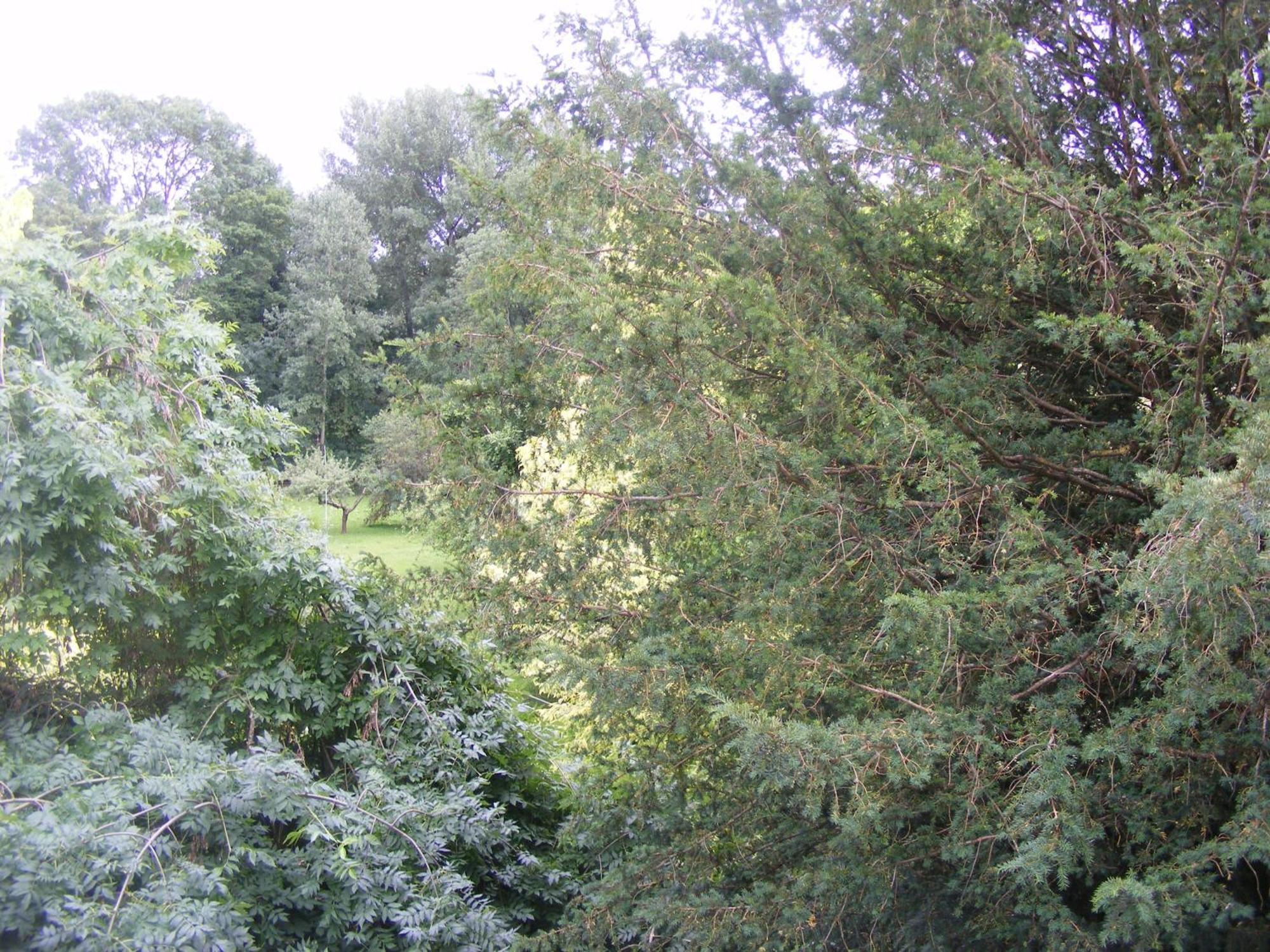 Les Lilas Des Deux Ponts Deux Rivieres Exterior foto